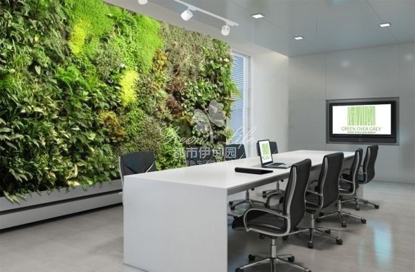 會議室植物墻