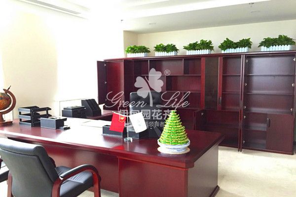 經(jīng)理辦公室植物租擺