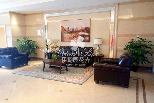 接待區(qū)植物租擺