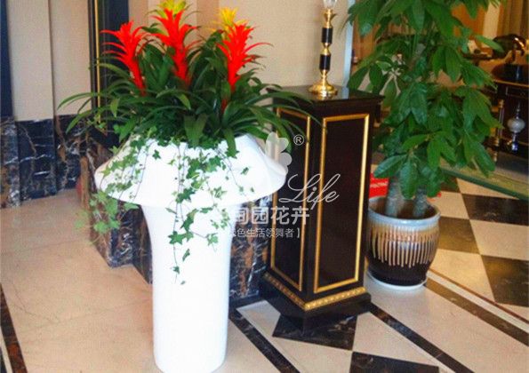 大廳花卉綠植租擺