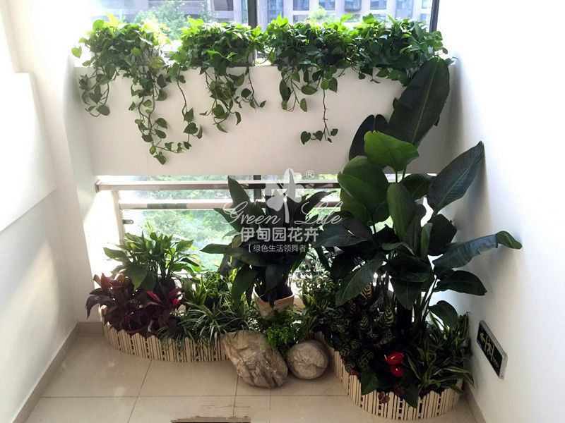 樓梯間植物租擺組景