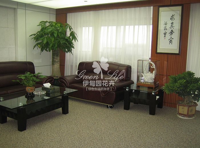 總經(jīng)理辦公室植物租擺