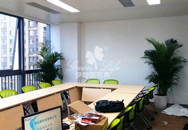 會(huì)議室綠植物租賃租擺