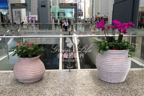 商場花卉綠植物租擺組景