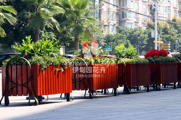 街道花卉綠植物租賃