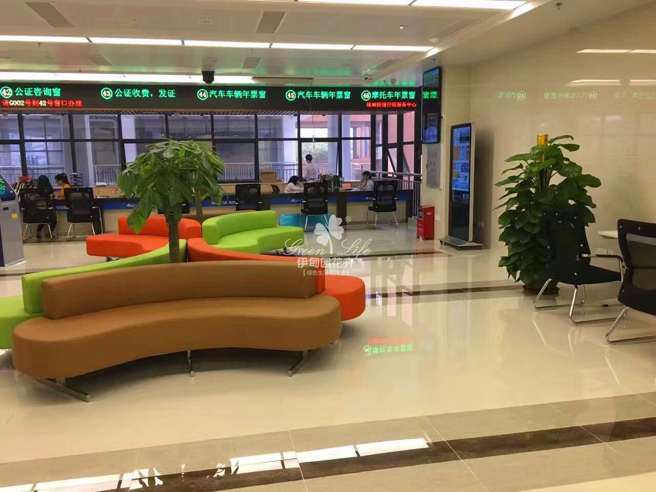 大廳綠植物租賃