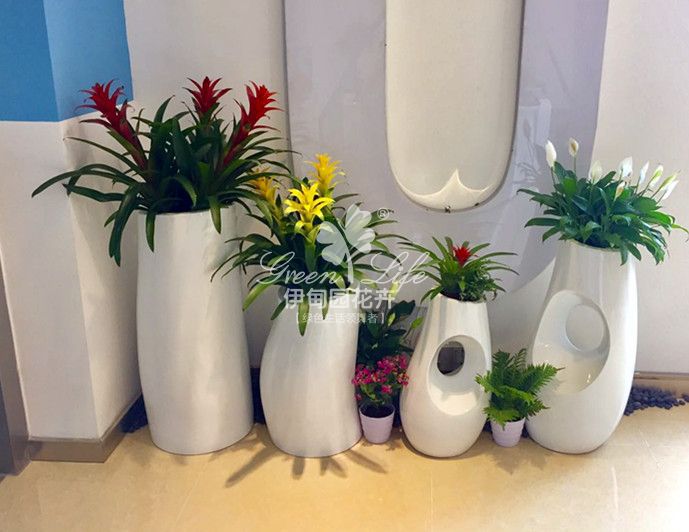 辦公室樓道轉(zhuǎn)角花卉綠植租賃