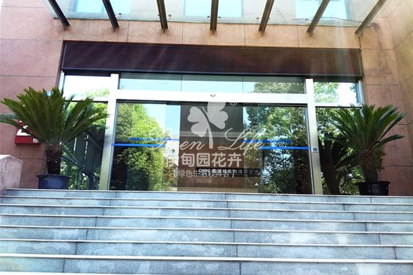 大門(mén)口綠植盆栽租賃