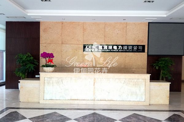 前臺(tái)花卉綠植租賃