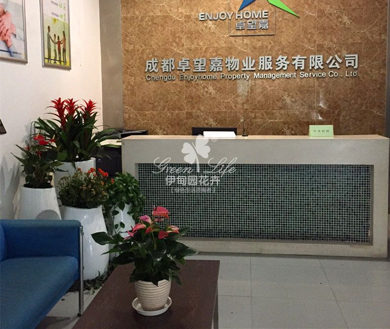 公司前臺(tái)花卉綠植租賃