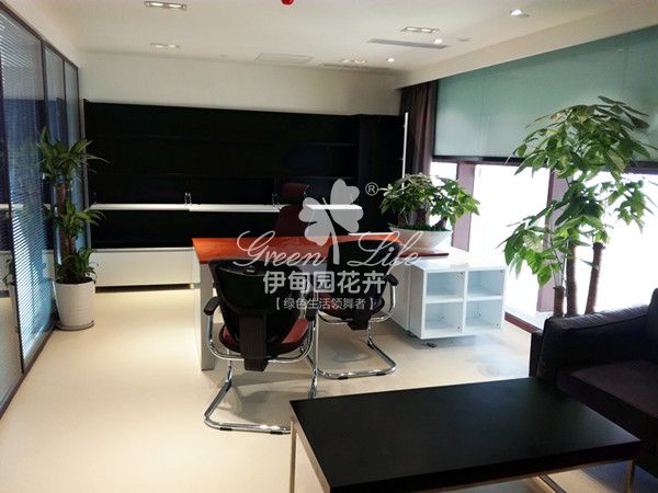 領(lǐng)導(dǎo)辦公室綠植物租賃