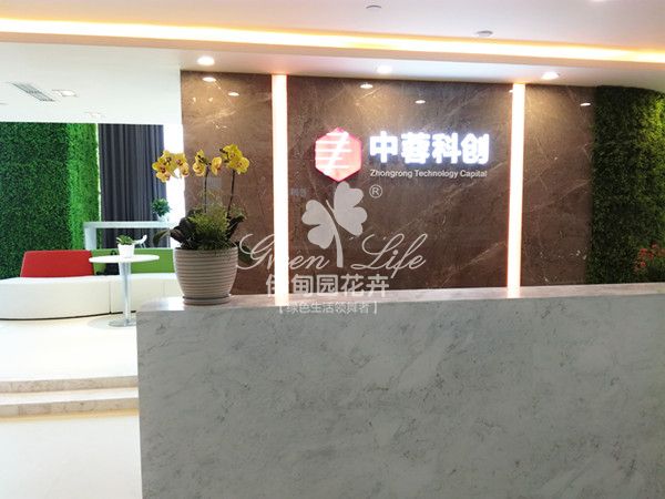 前臺(tái)花卉綠植盆栽租賃