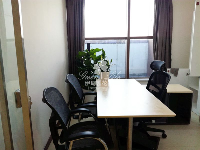 經(jīng)理辦公室綠植盆栽租賃