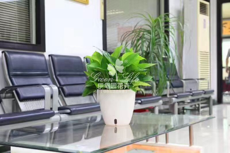 接待區植物租賃