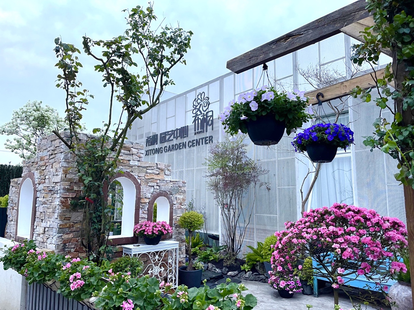 中國花卉協(xié)會家庭園藝分會正式成立！希桐園藝被授于分會理事單位！