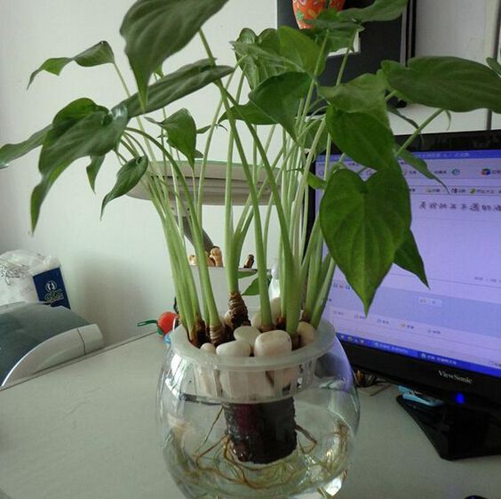 點(diǎn)擊打開原圖