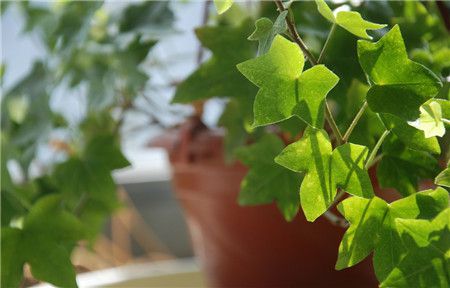 點(diǎn)擊打開(kāi)原圖